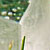 Draama