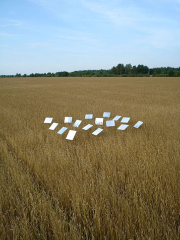 ylevalt III