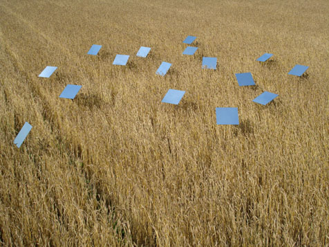 ylevalt IV